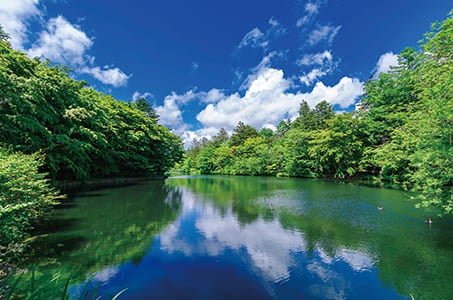 クリスタルクルーザー「菫」 全5泊とも国立公園内のホテルに泊まる 信州避暑旅6日間1